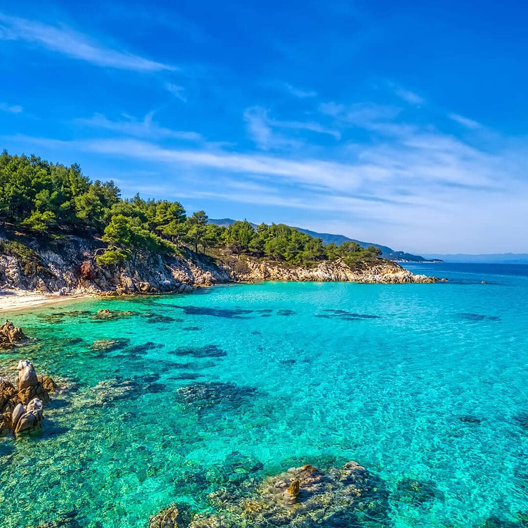 Instagram post by @cocoonsarti