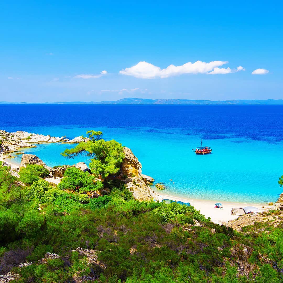 Instagram post by @cocoonsarti