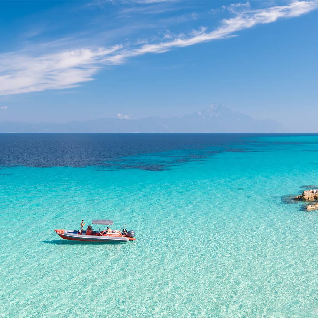 Instagram post by @cocoonsarti