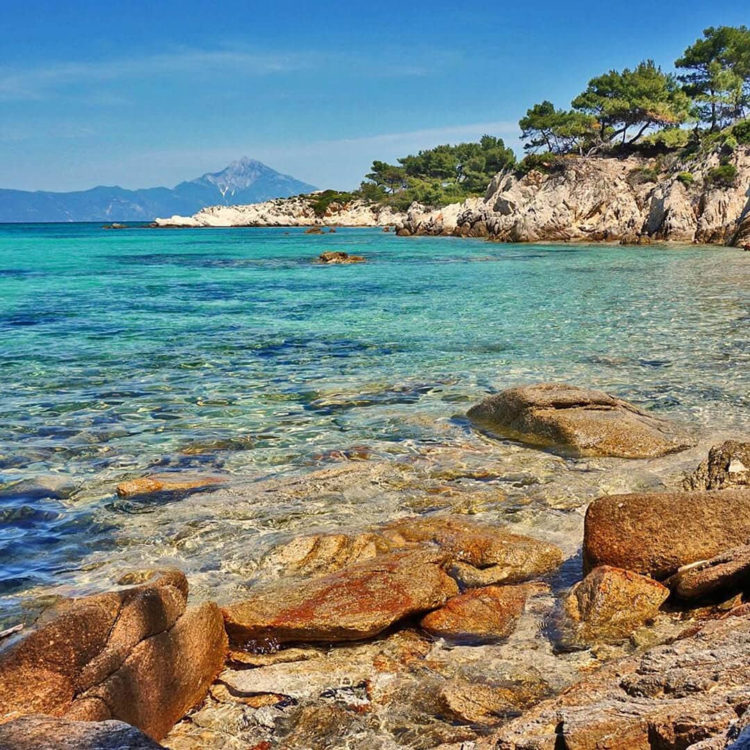 Instagram post by @cocoonsarti