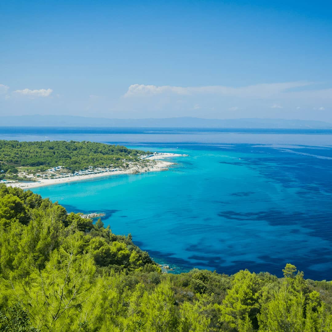 Instagram post by @cocoonsarti